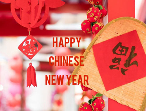 Happy Lunar New Year of Pig