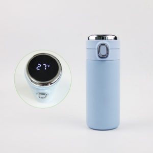 Stainless Steel Smart Water Bottle with LED Temperature Display –  ThreeBearsClothing